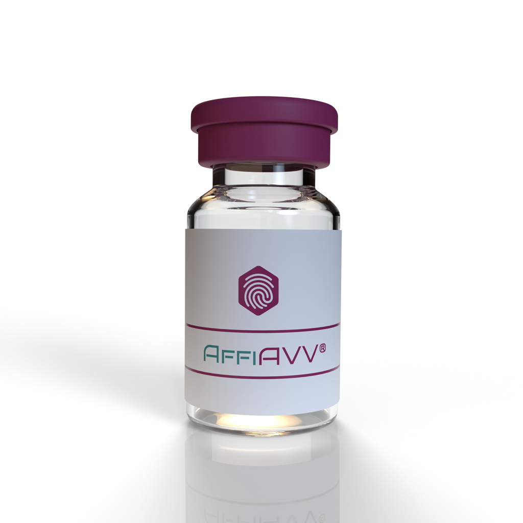 Custom AAV without DNA amplification